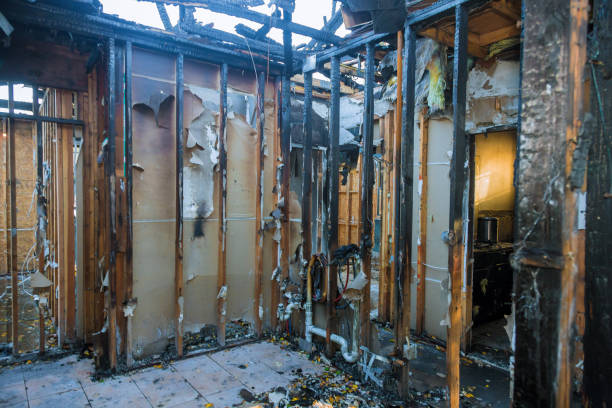 Professional Emergency Fire Cleanup technician working in Rancho Alegre, TX